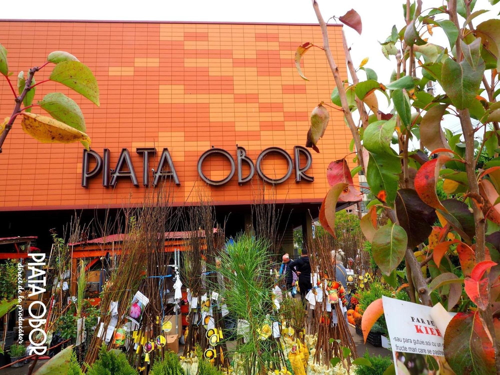 Cozy City Retreat, Obor Market & Metro Bukarest Exterior foto